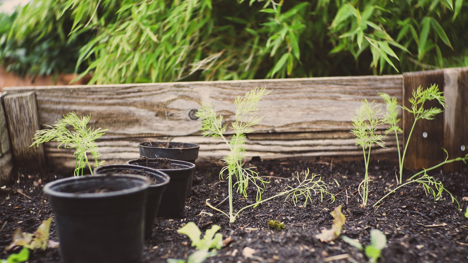 - Composting Tortilla Chips:‌ Tips and Tricks for Successful Breakdown in⁣ Your Compost Pile