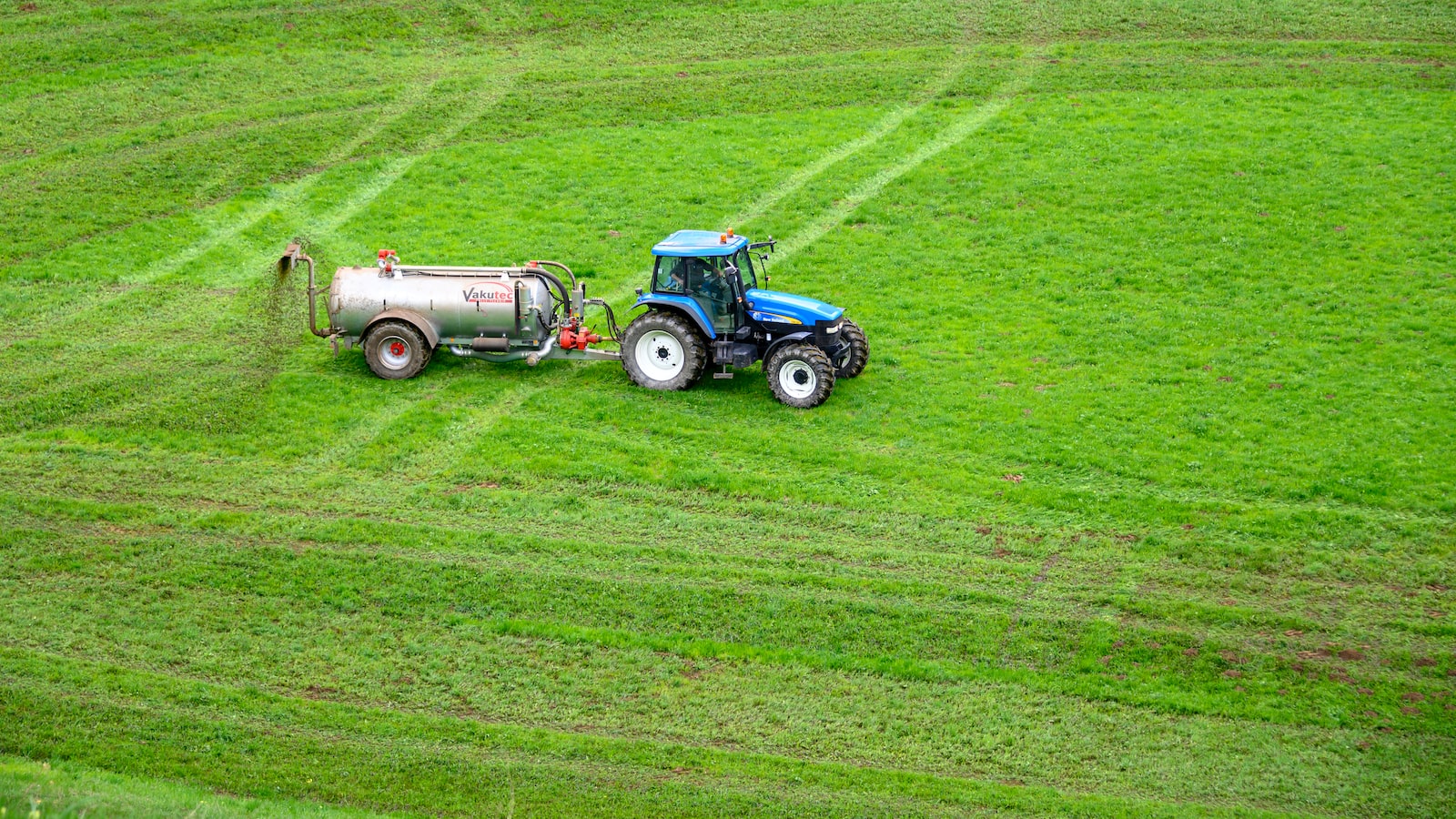 Optimal Application Techniques: Achieving Effective Results with 16 16 16 Fertilizer