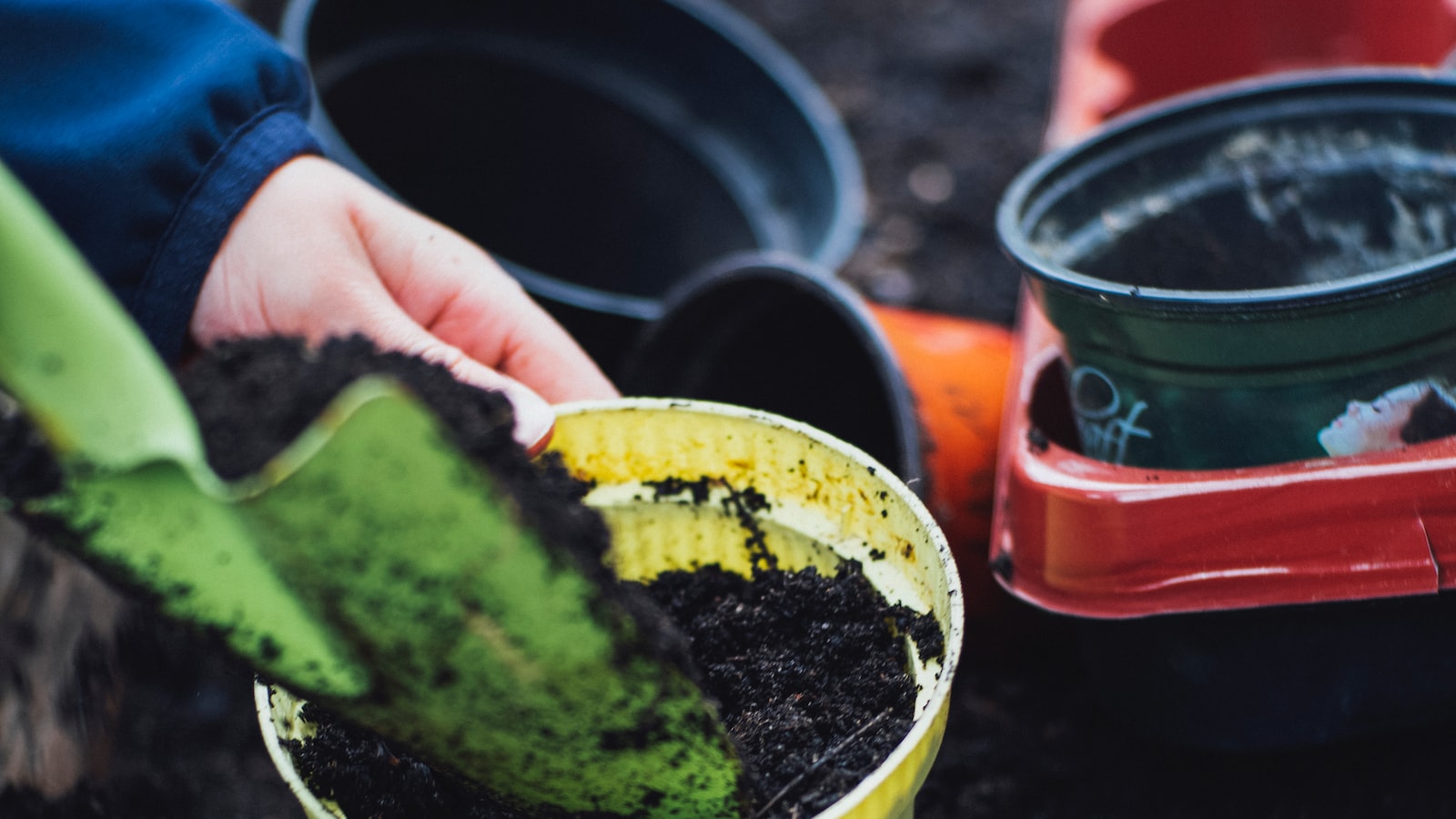 Sustainable Gardening: Harnessing the Power of Coffee Grounds to Enhance Your Zucchini Harvest