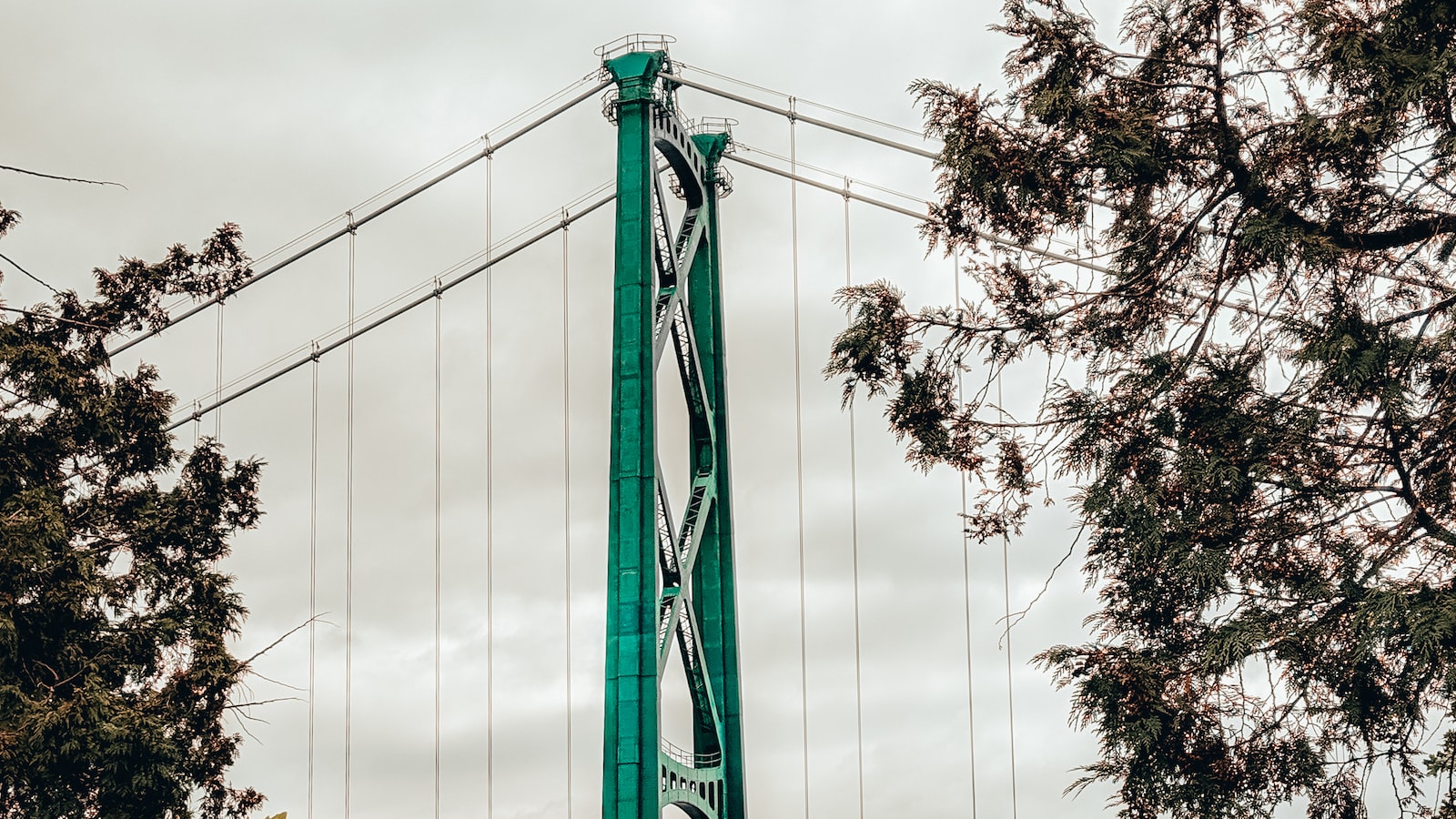 Exploring Vancouver's Unique Climate: Factors Affecting Plant Growth