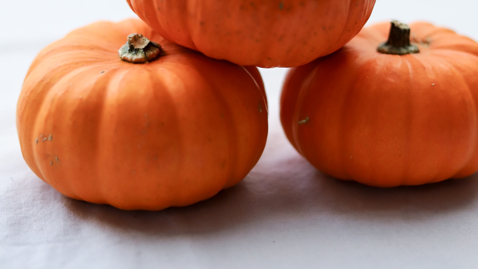 Best Practices for Planting Pumpkin Seeds in Michigan