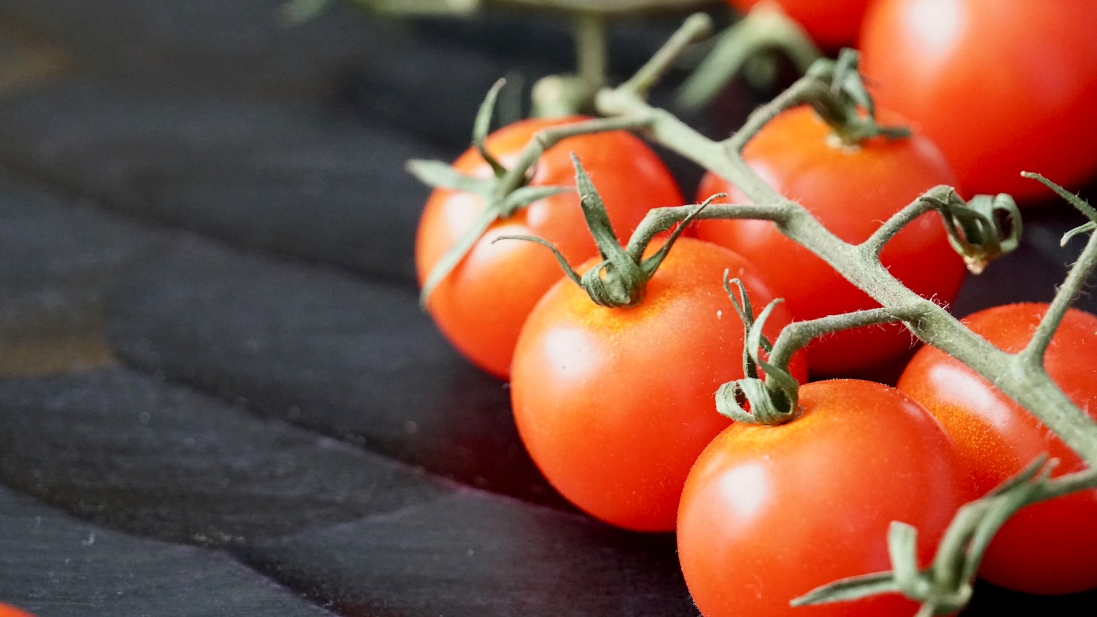 Key Factors to Consider Before Planting Tomatoes in Wisconsin