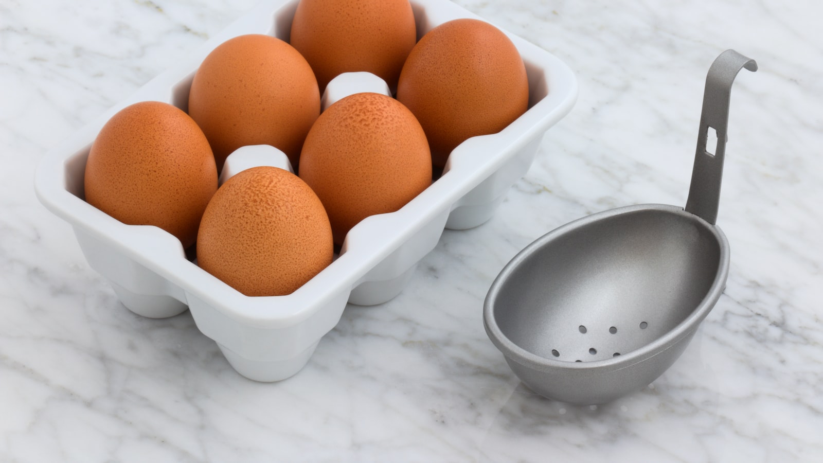 The Benefits of Using Eggshells as Fertilizer for Cucumber Plants