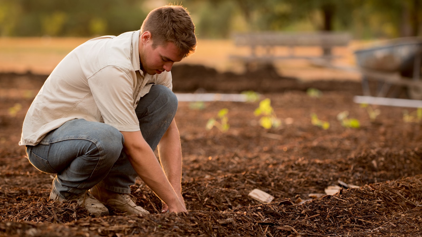 Selecting the Best Varieties and Preparing the Soil for Okra Planting in Oklahoma