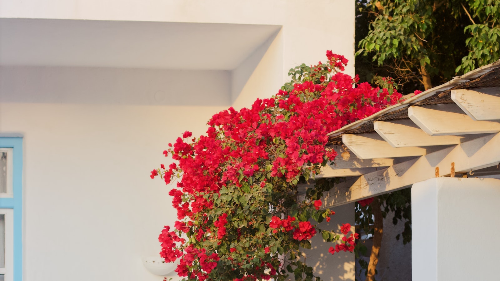 A Beautiful Patio Starts with Clean Pots: Preventing Stains and Discoloration