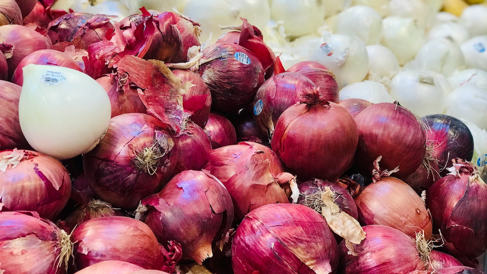 3. Foe or Friend? Understanding the Complex Interaction between Onions and Tomatoes