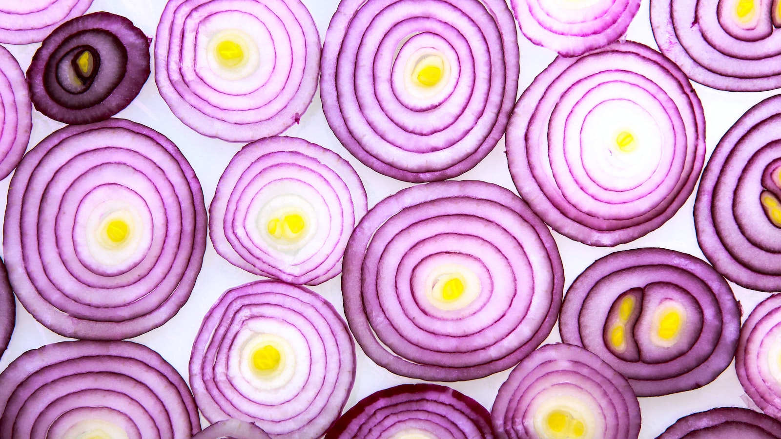 Benefits of Eating Onions Straight from the Garden and Why They Should be Enjoyed Fresh