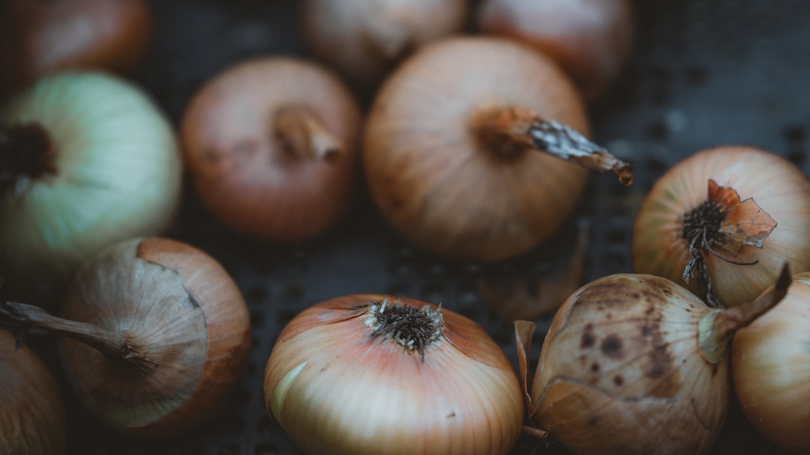 Essential Tips ​for Planting ⁢Onions in Oklahoma's Climate