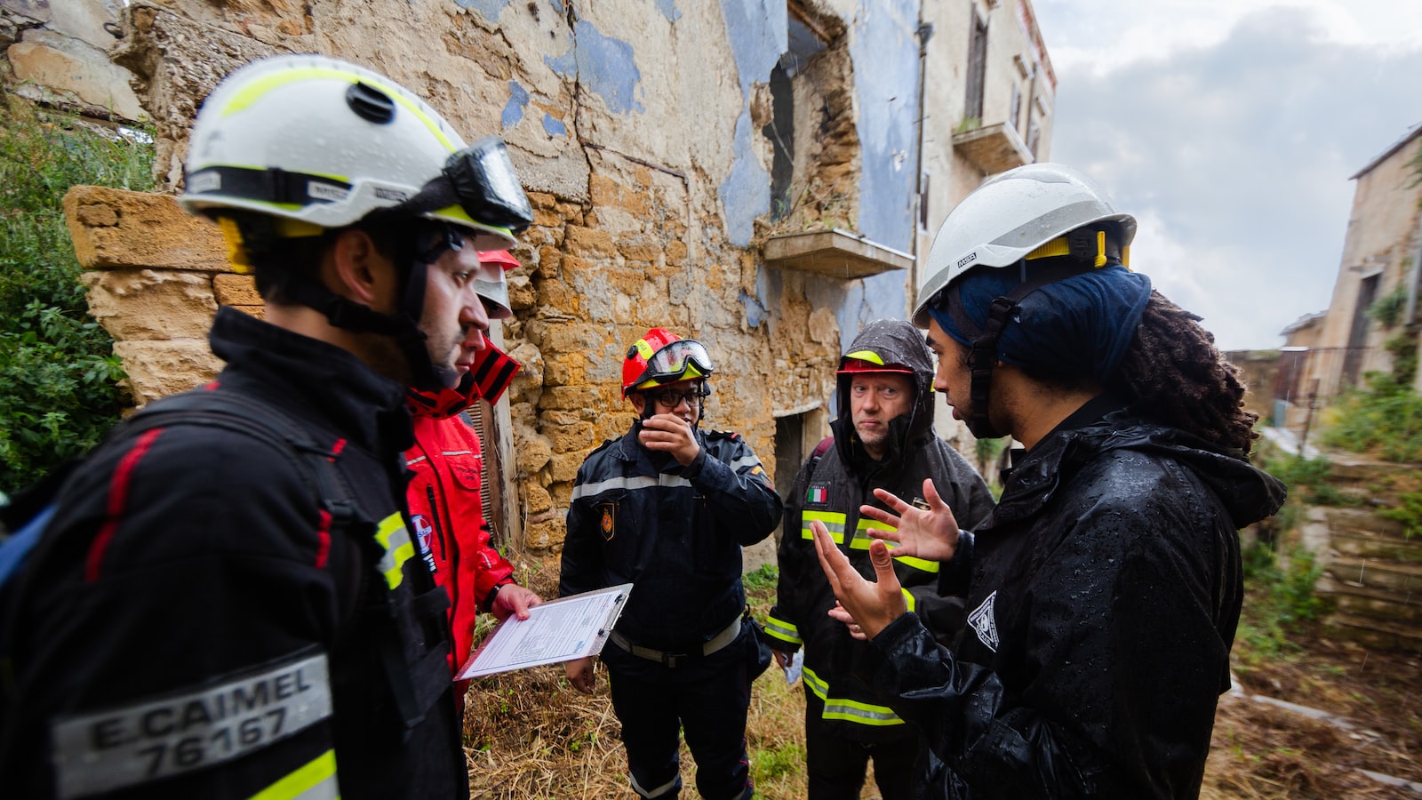 Understanding the Structural Damage and Assessing the Tree's Condition