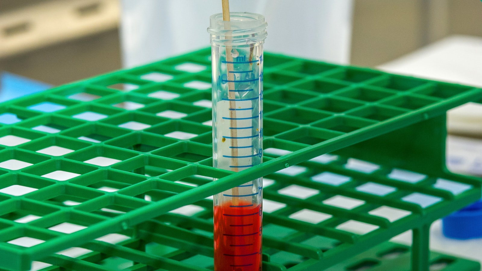 Testing and Analysis of Soil's Magnesium Levels