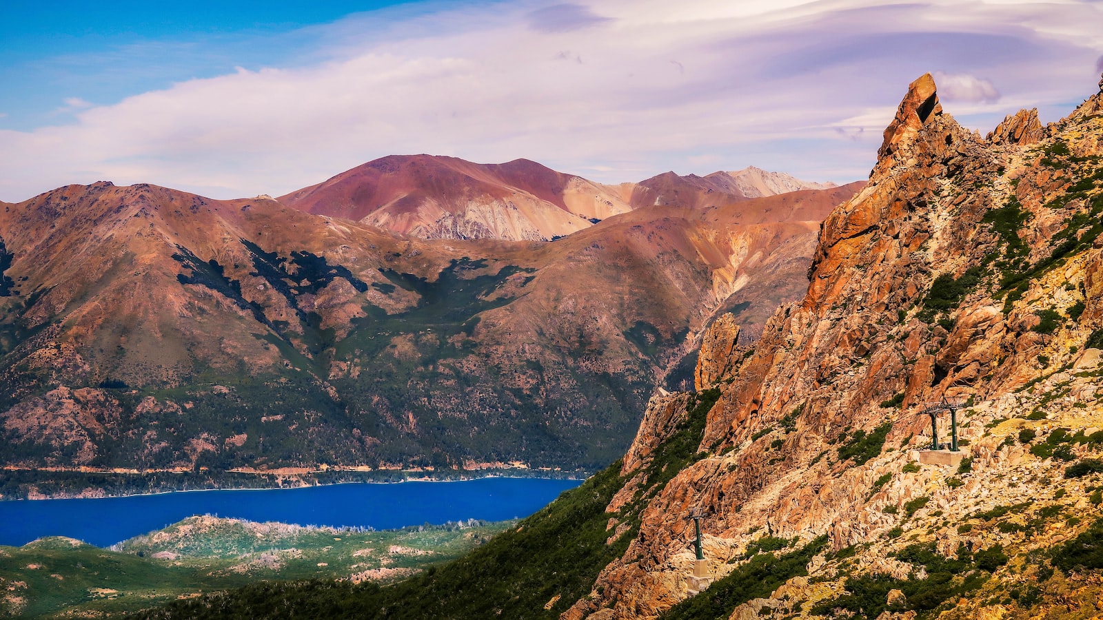 A Glimpse‌ into Argentina's‍ Ecological ⁤Treasure: Discovering the National Tree