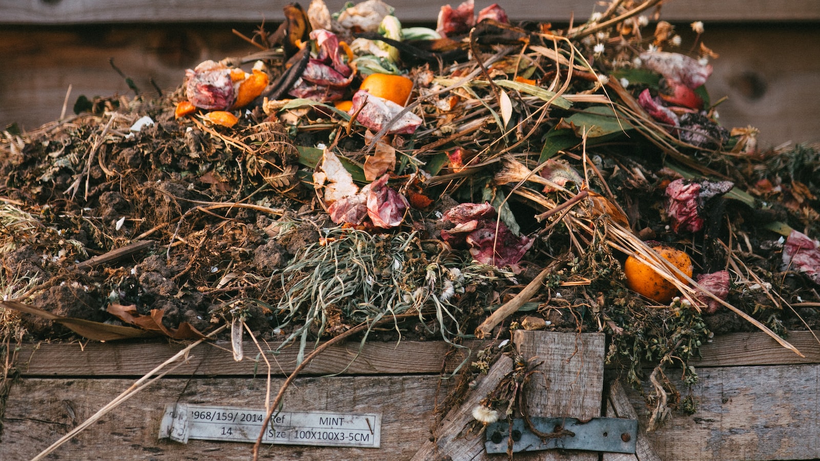 Best Practices for Composting Pickles: How to Use Them Effectively