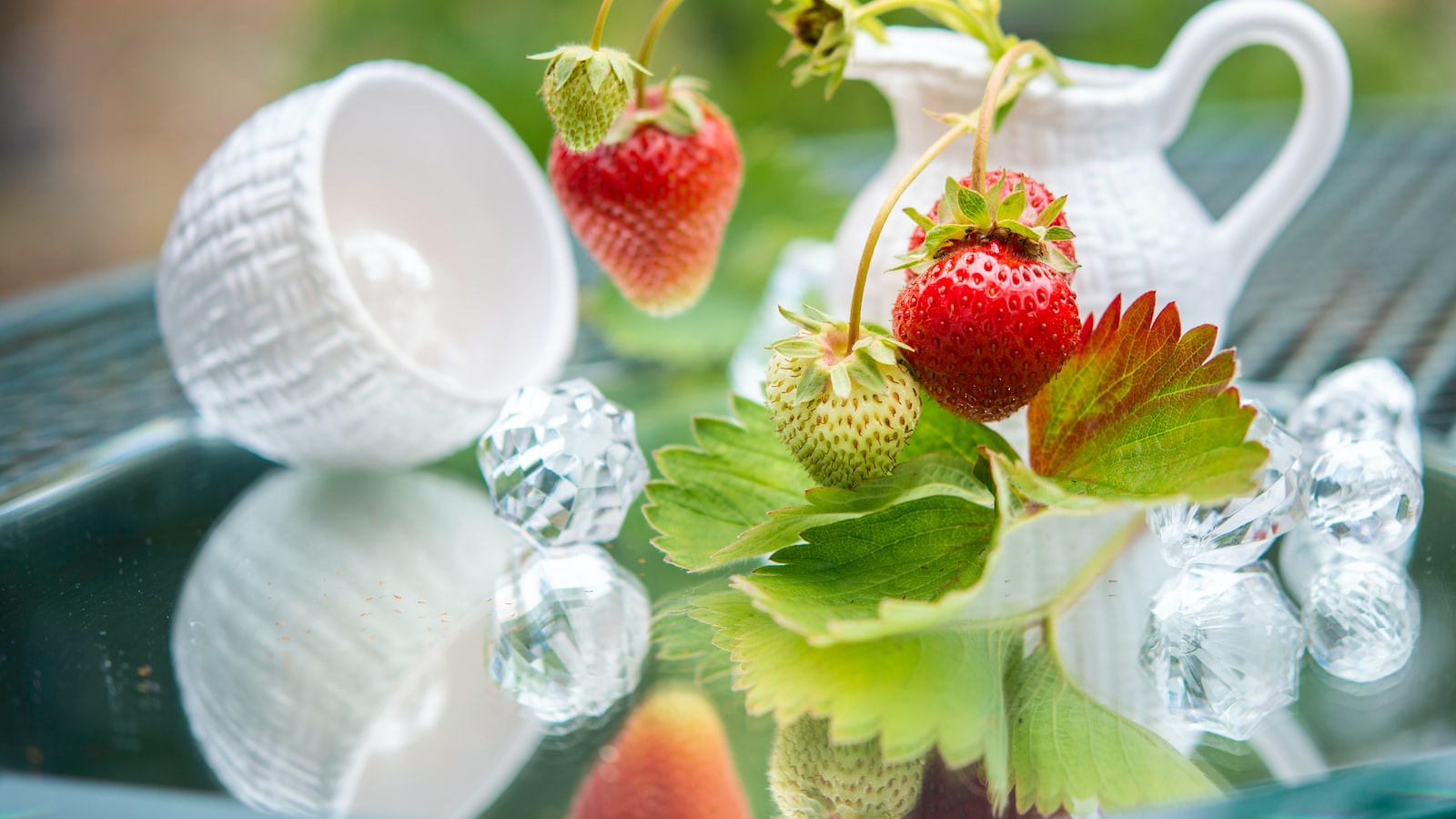 Planting Strawberries in Georgia: The Best Time for Success