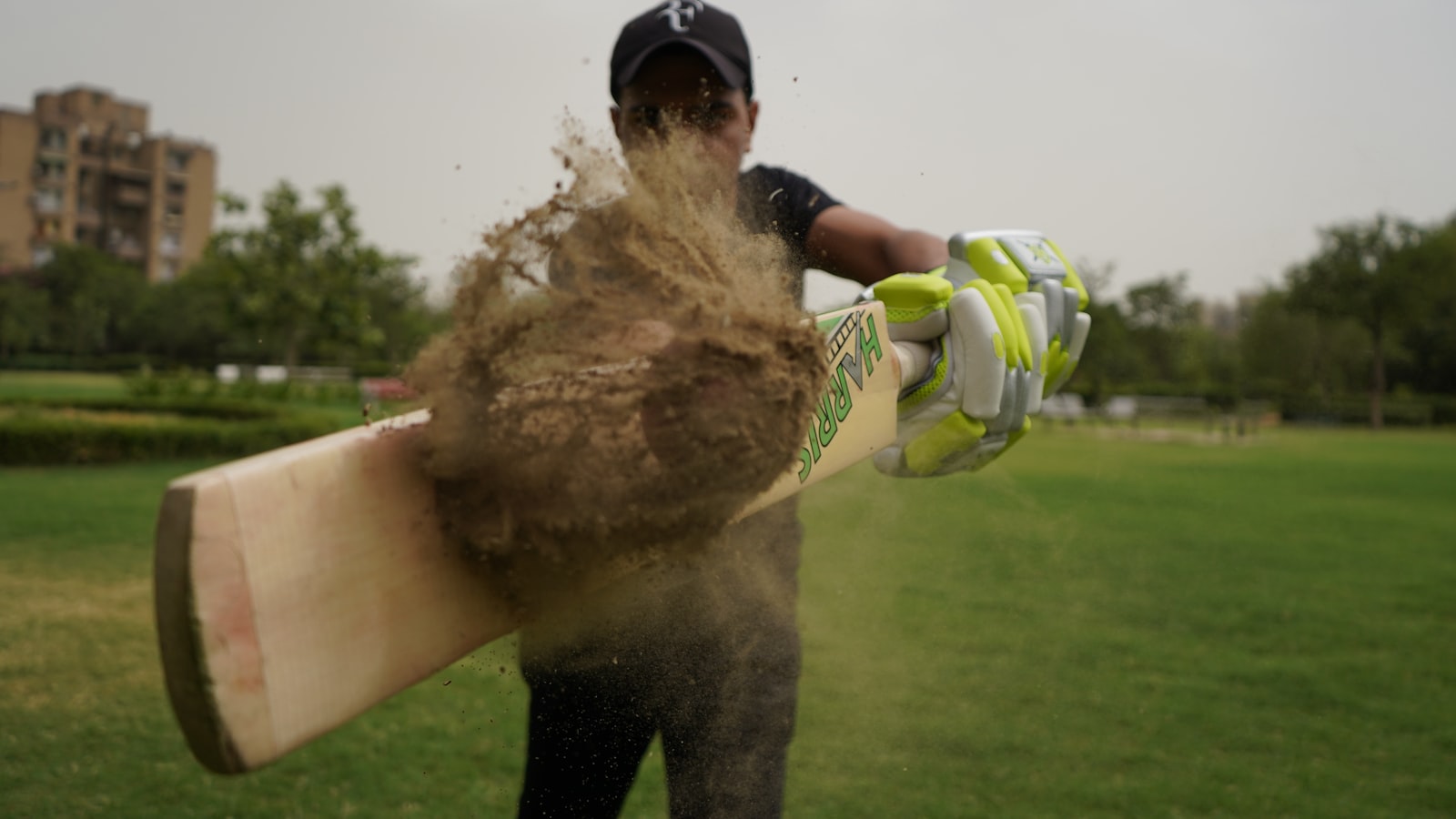 Step-by-Step Guide to Transplanting Grass: Techniques and Best Practices