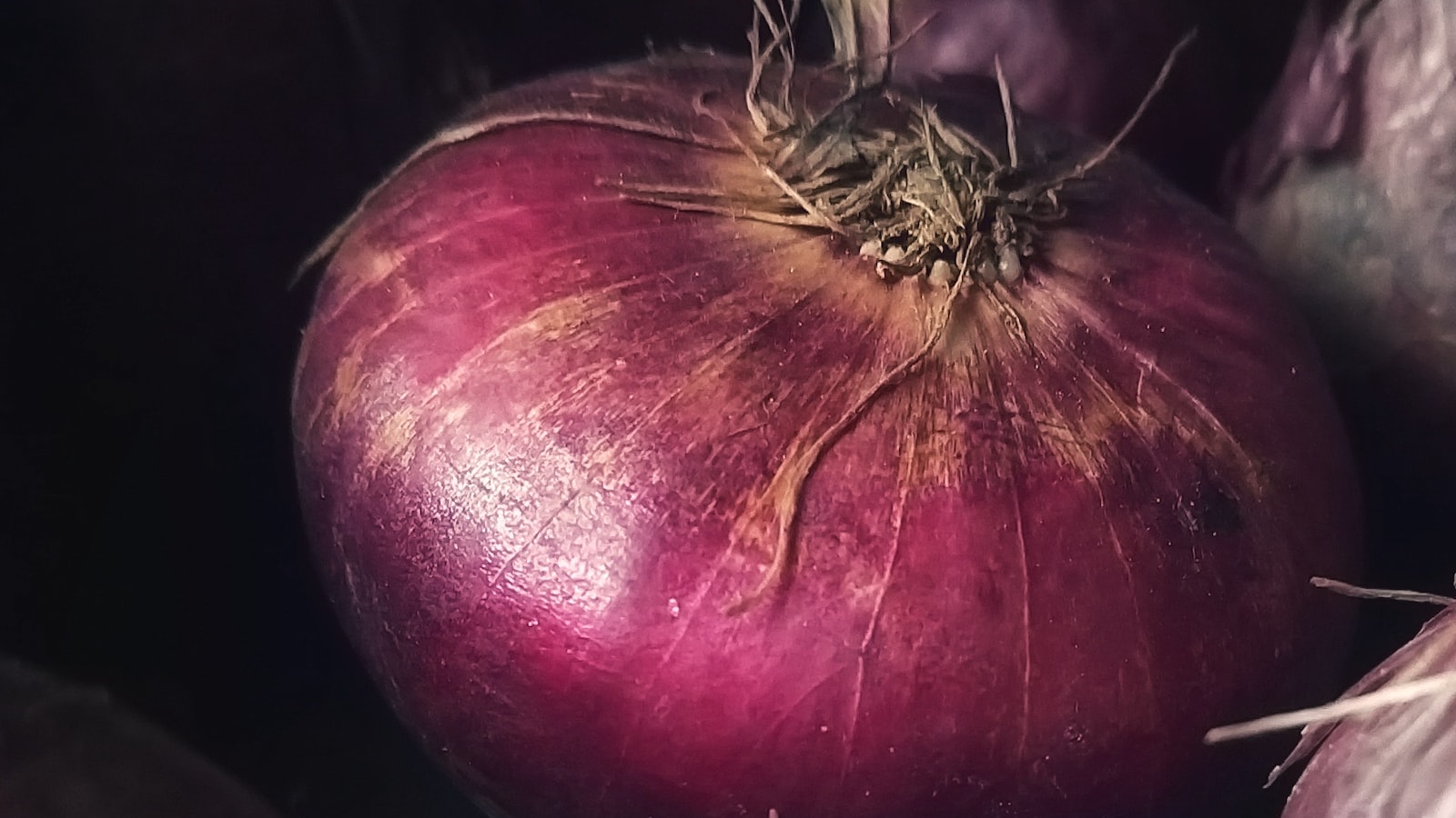 Best Time of⁣ Year to Plant Onions in Oklahoma for Optimal Growth