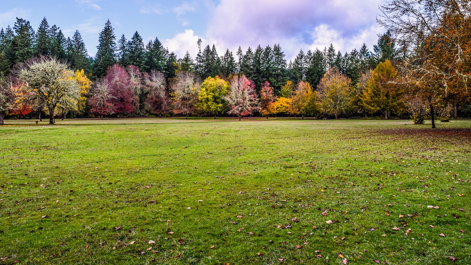 Potential Causes of Lawn Mower Shaking: Damaged or Worn Out Wheel Bearings