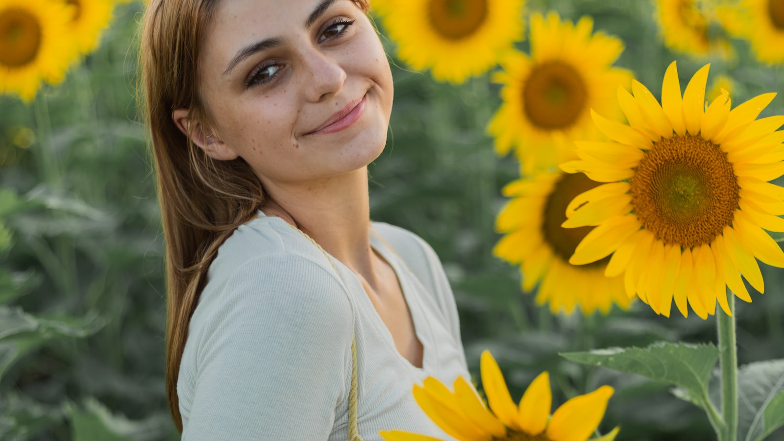 Tips for Incorporating Sunflower Seeds into the Rat Diet Safely