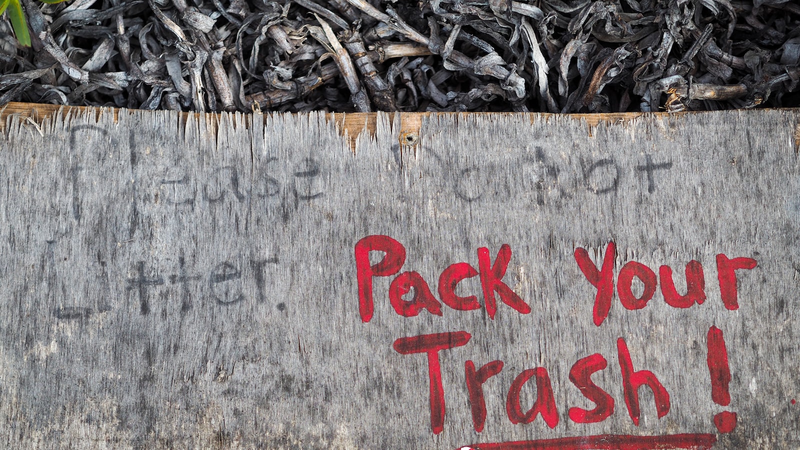 Insights into the Recycling Dilemma: Can Cereal Boxes Find a Second Life in Your Compost?