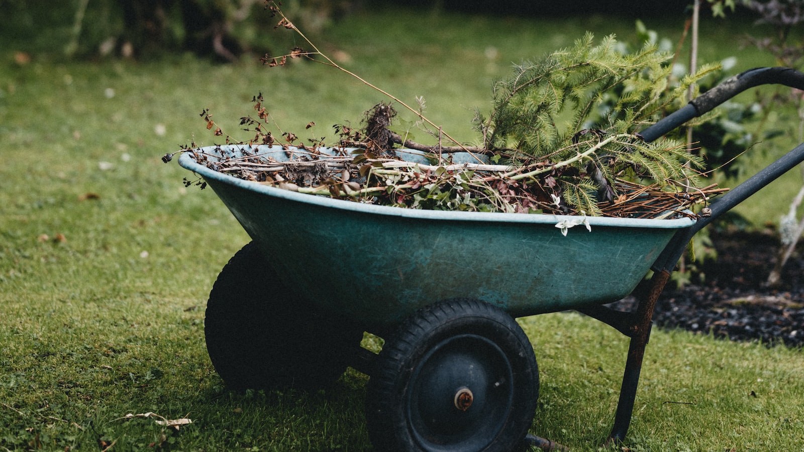 Best Practices for Gardening in Sacramento's Unique Climate