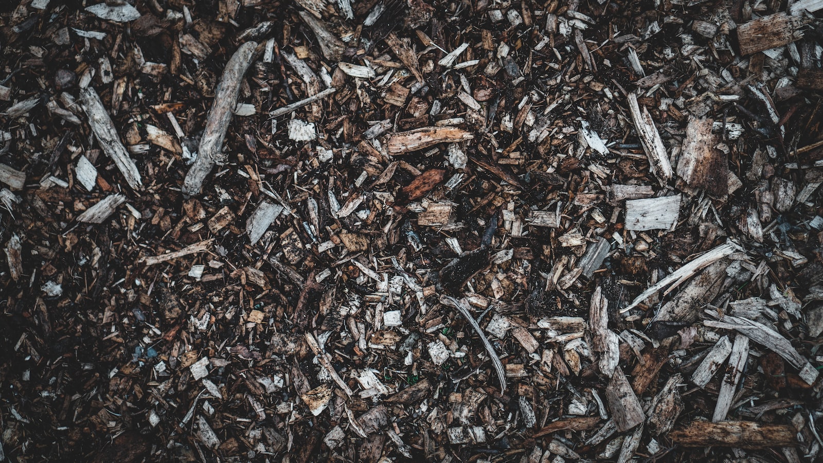 Aesthetics vs. Practicality: Choosing the Right Mulch for Sidewalk Borders