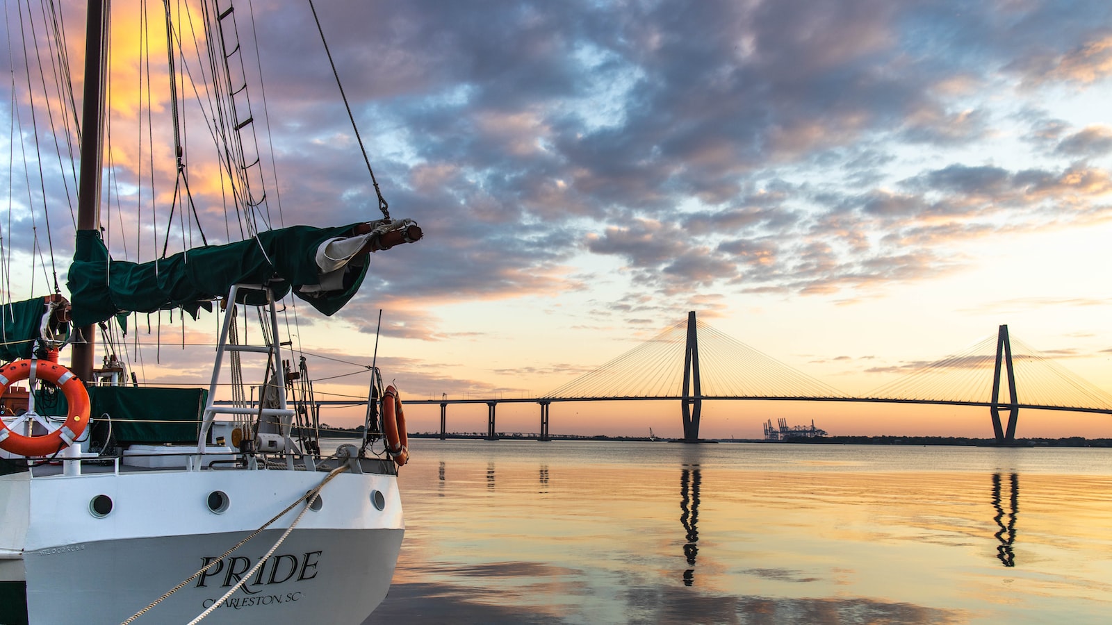 Understanding South Carolina's Climate for Successful Tulip Planting