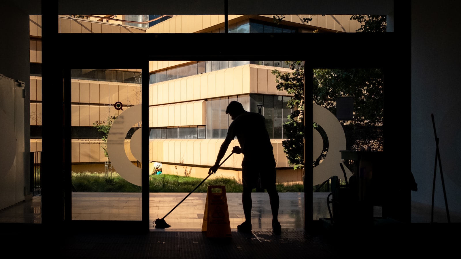 Cleaning Up Mess: Proper Disposal and Post-removal Care for Pine Tree Debris