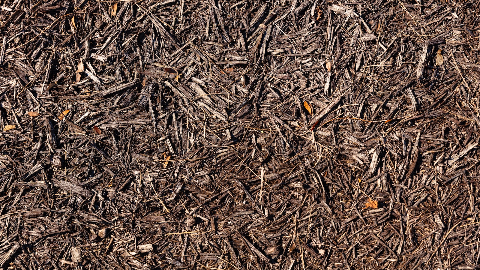 Potential Risks and Precautions: Understanding the Implications of Mulch Containing Manure