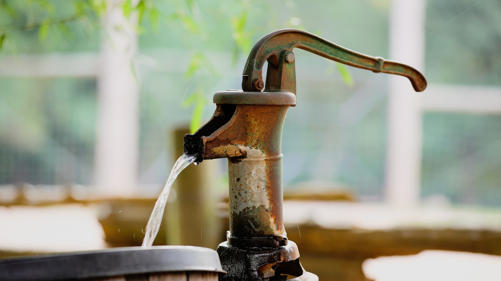 The Potential Effects of Rusty Water on Plants