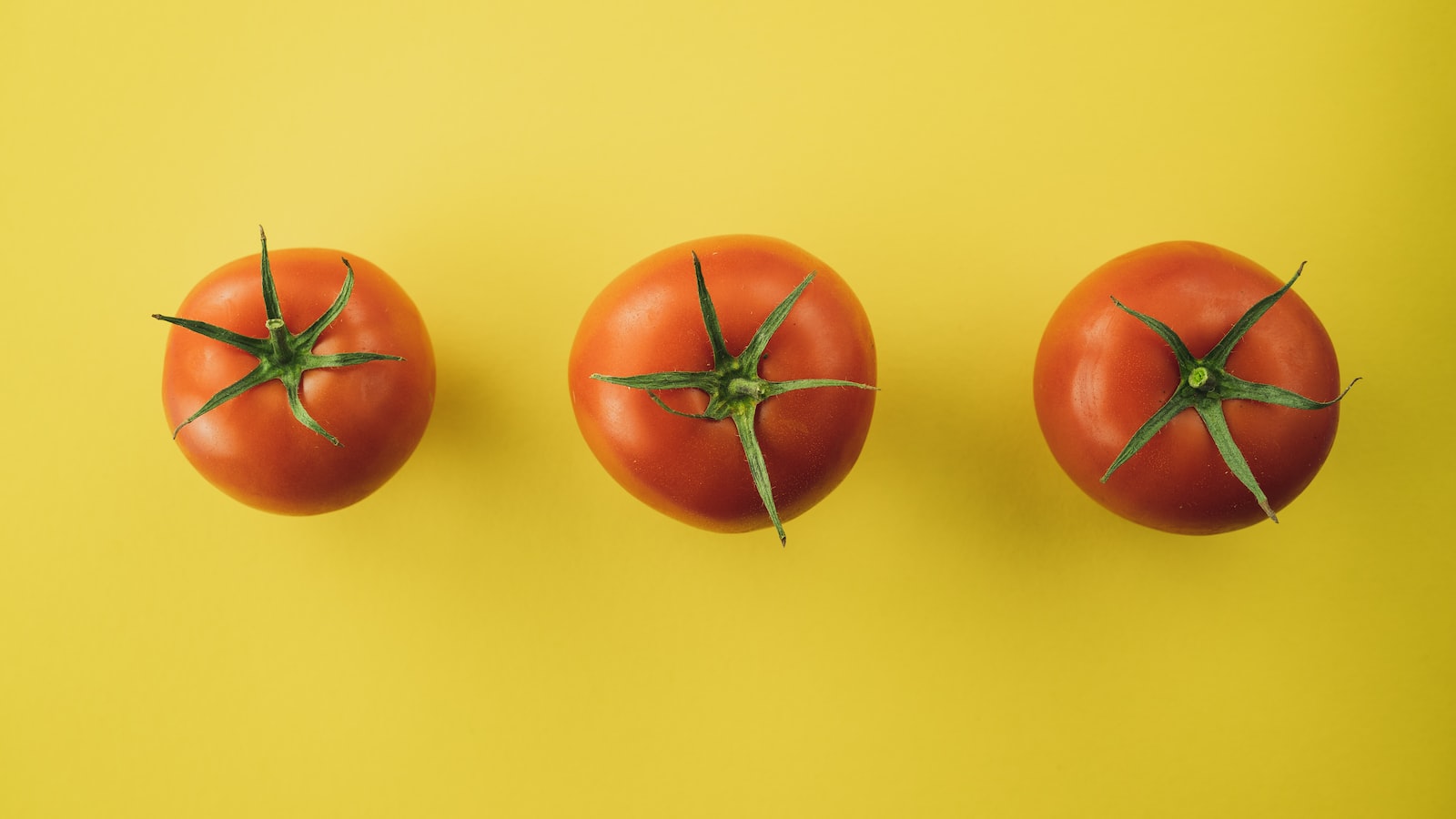 The Battle of Tomato Plants: Unveiling the Culprit Behind Defoliation