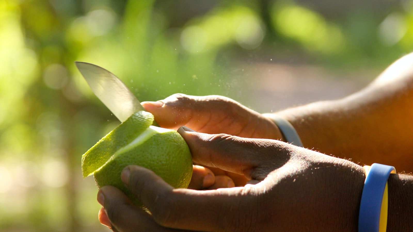 Prepping for Planting: Tips for Preparing Your Ohio Garden for Radishes