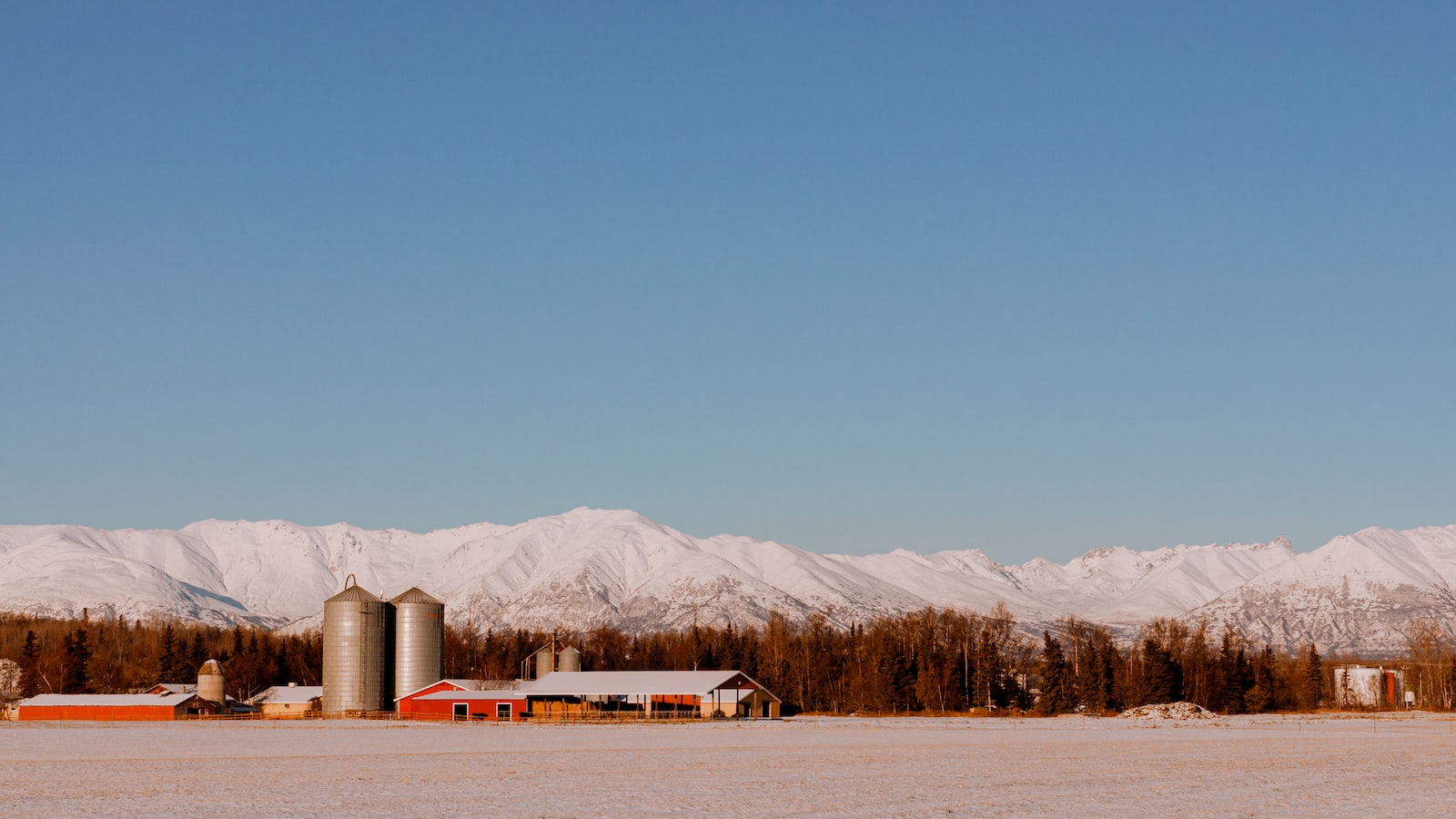 Tips for Determining the Quality and Usability of Expired Alaska Fish Fertilizer