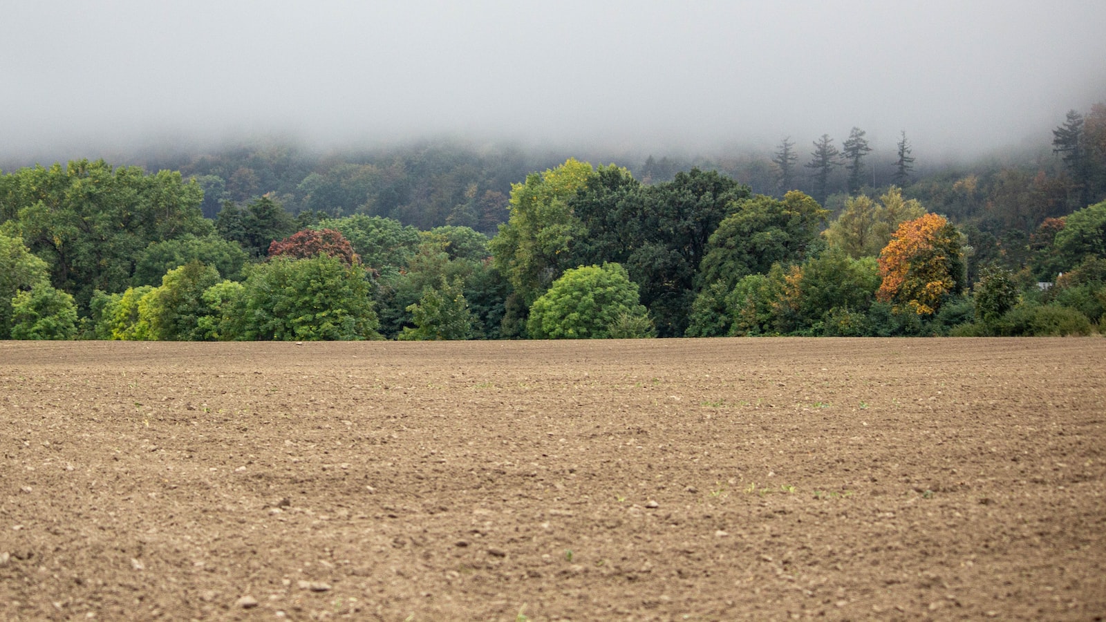 2. Optimal Soil Preparation for Successful Cucumber Planting in CT