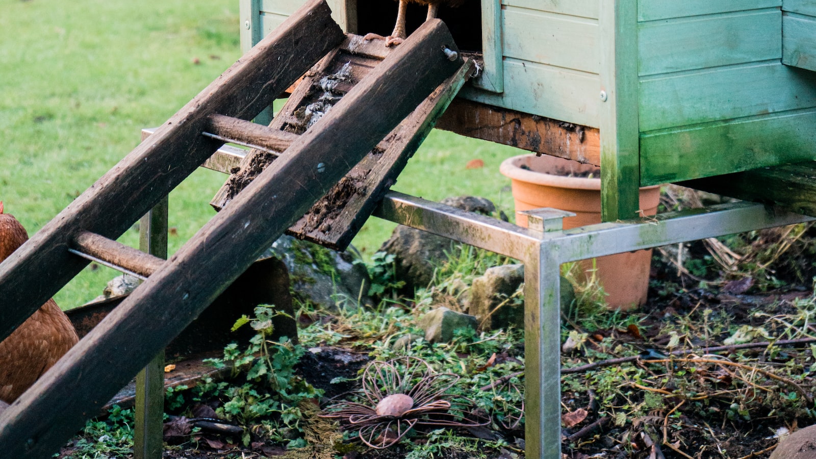 The Pros and Cons of Including Chicken Bones in Compost