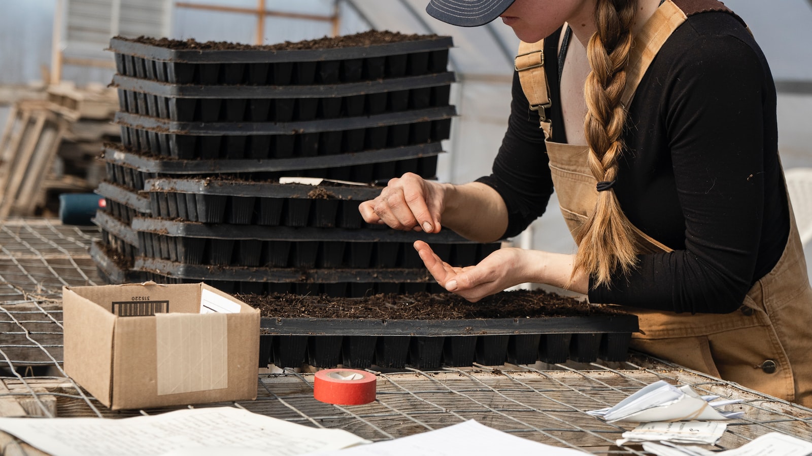 Best Time to Plant Potatoes in North Carolina