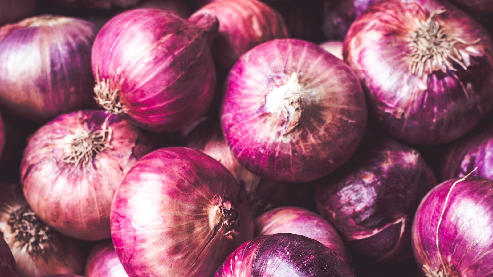 Planting Onions in Kansas: A Comprehensive Guide for Successful Growth