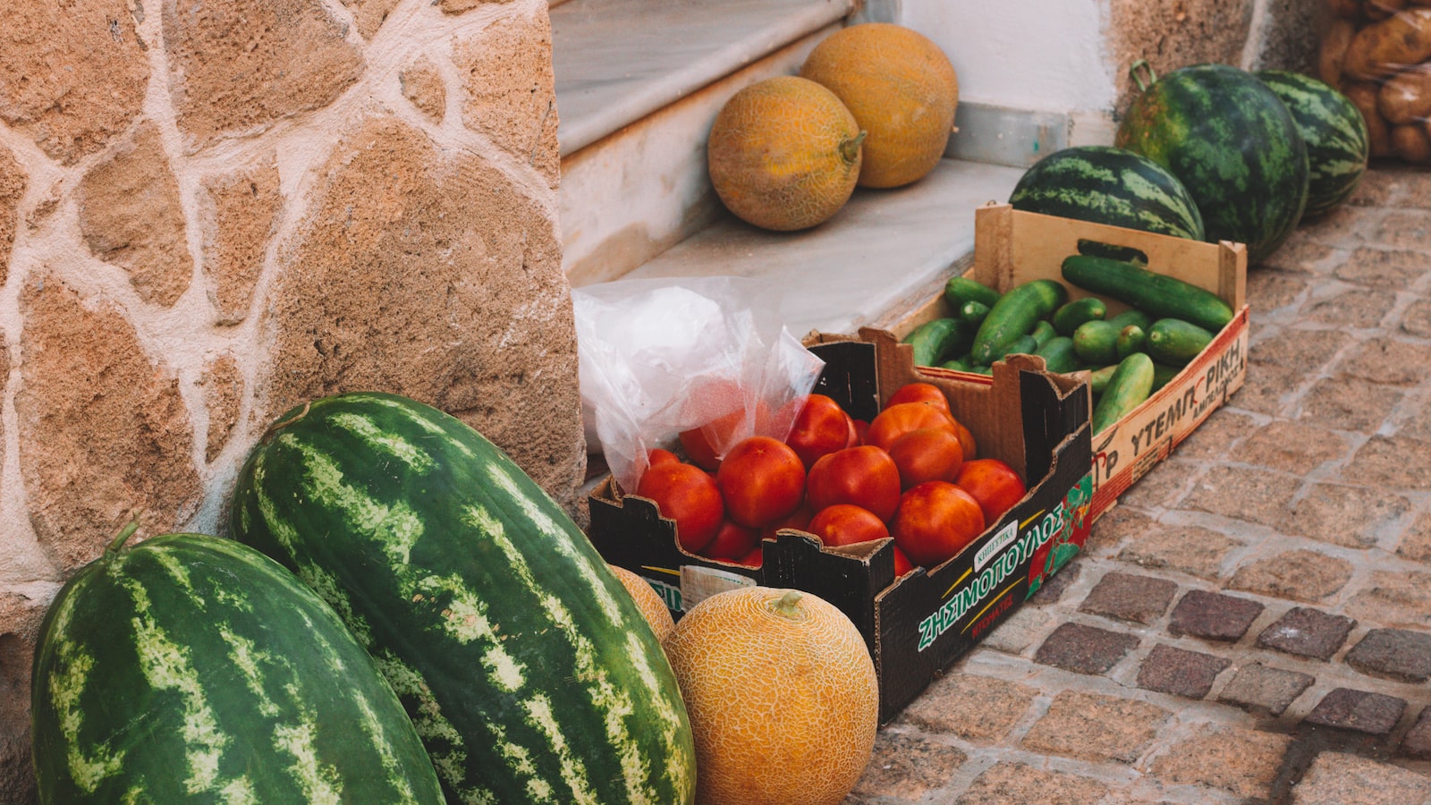 Recommendations for Protecting Cucumber Plants in Chilly Conditions