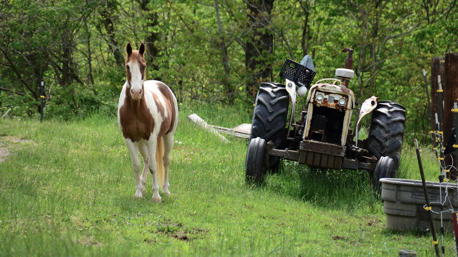 Starting up your lawn mower: A primer on priming without a primer bulb