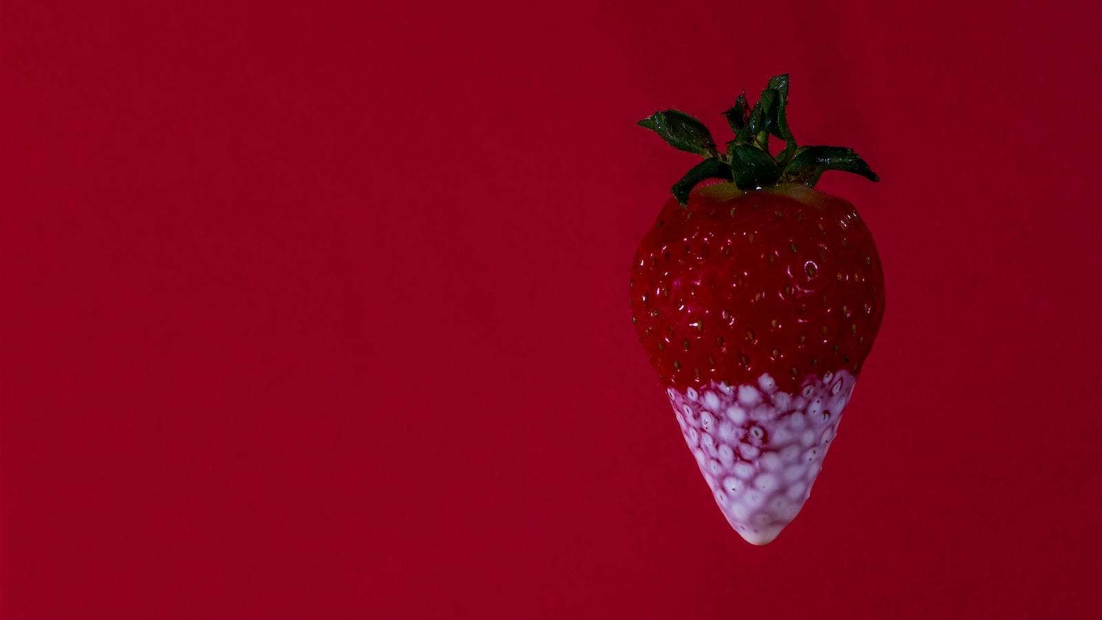 Best Time to Plant Strawberries in CT: A Guide for Successful Harvest