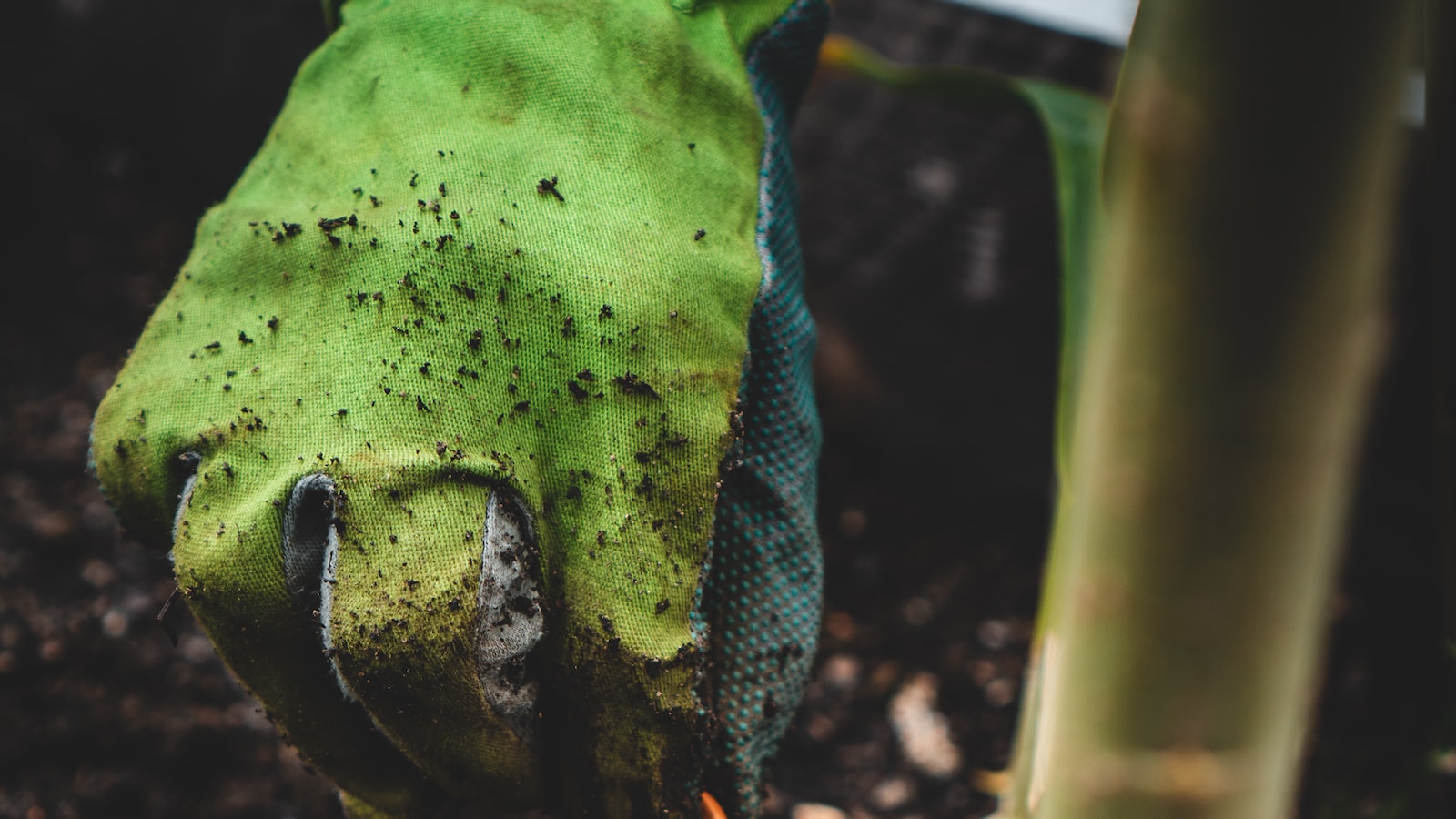 Essential Steps for Planting Alfalfa in the Fall