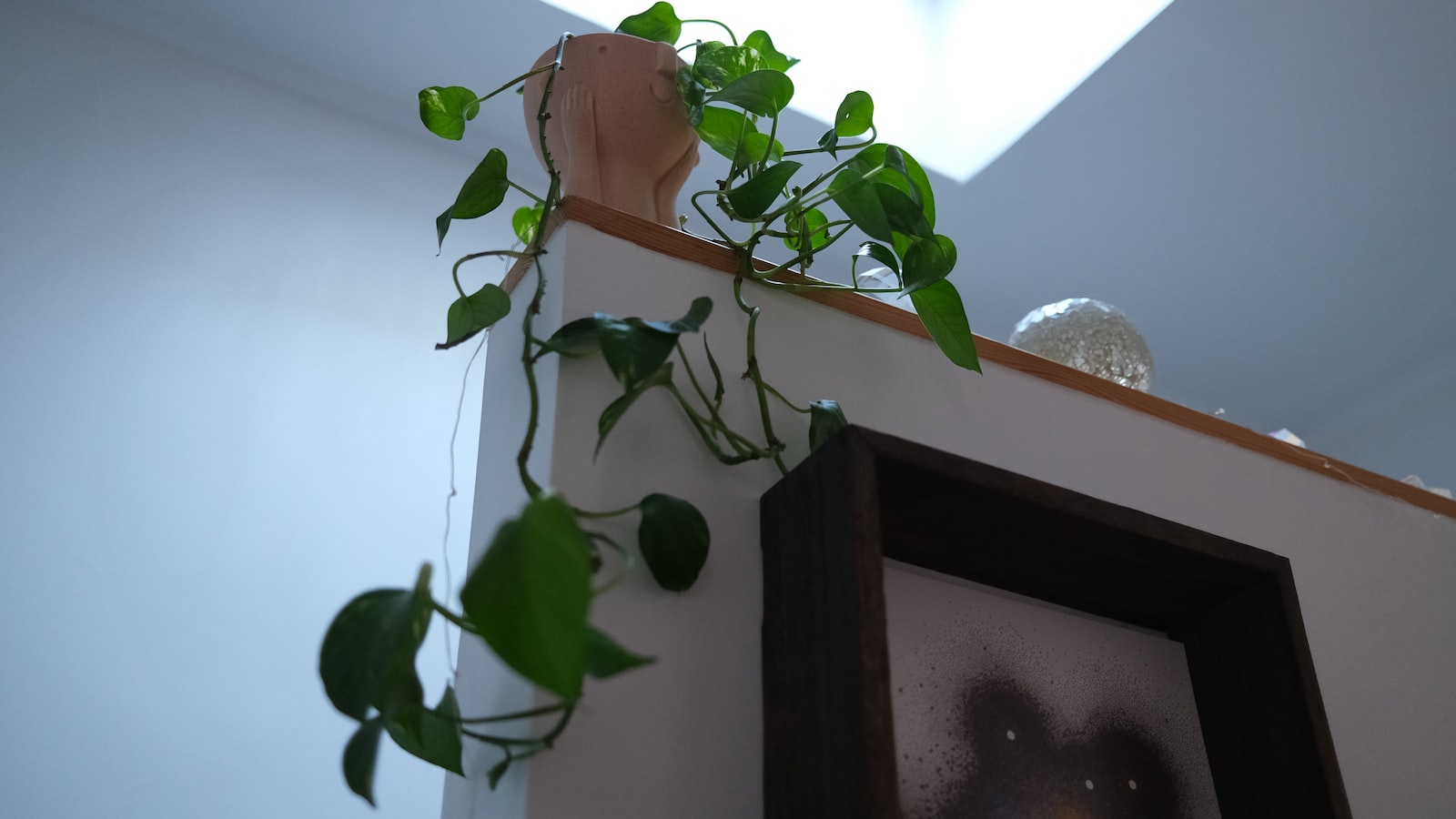 Pro Tips: Ensuring ​Optimal ⁢Growth and Health for Pothos ⁤and Philodendron When Planted Together