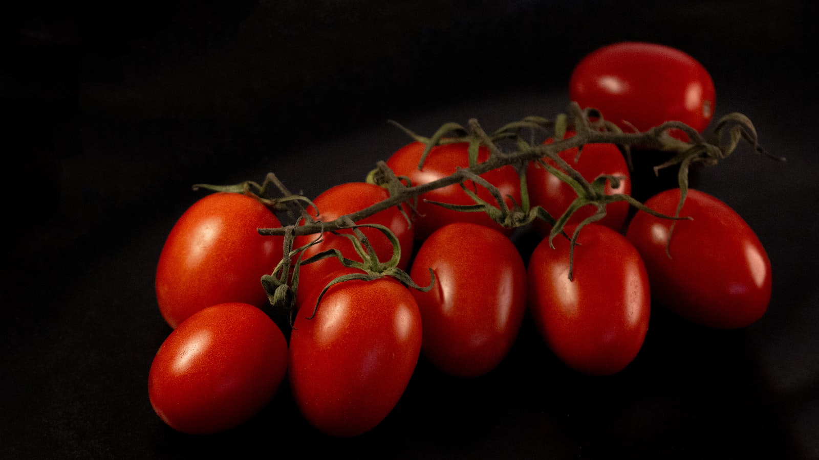 Choosing the Right Tomato Cage for Your Christmas Tree