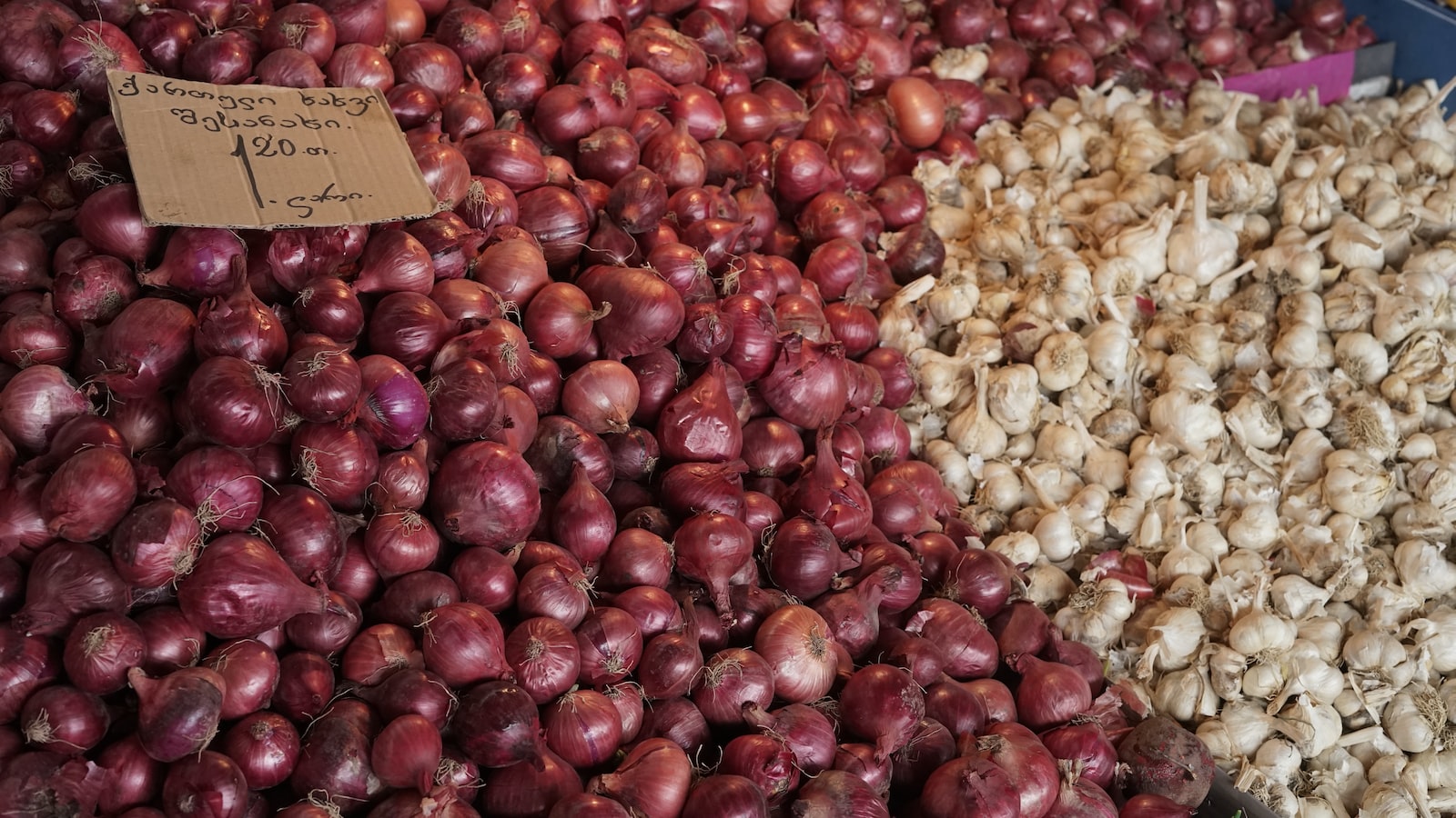 Key Recommendations for Planting Onions in Colorado