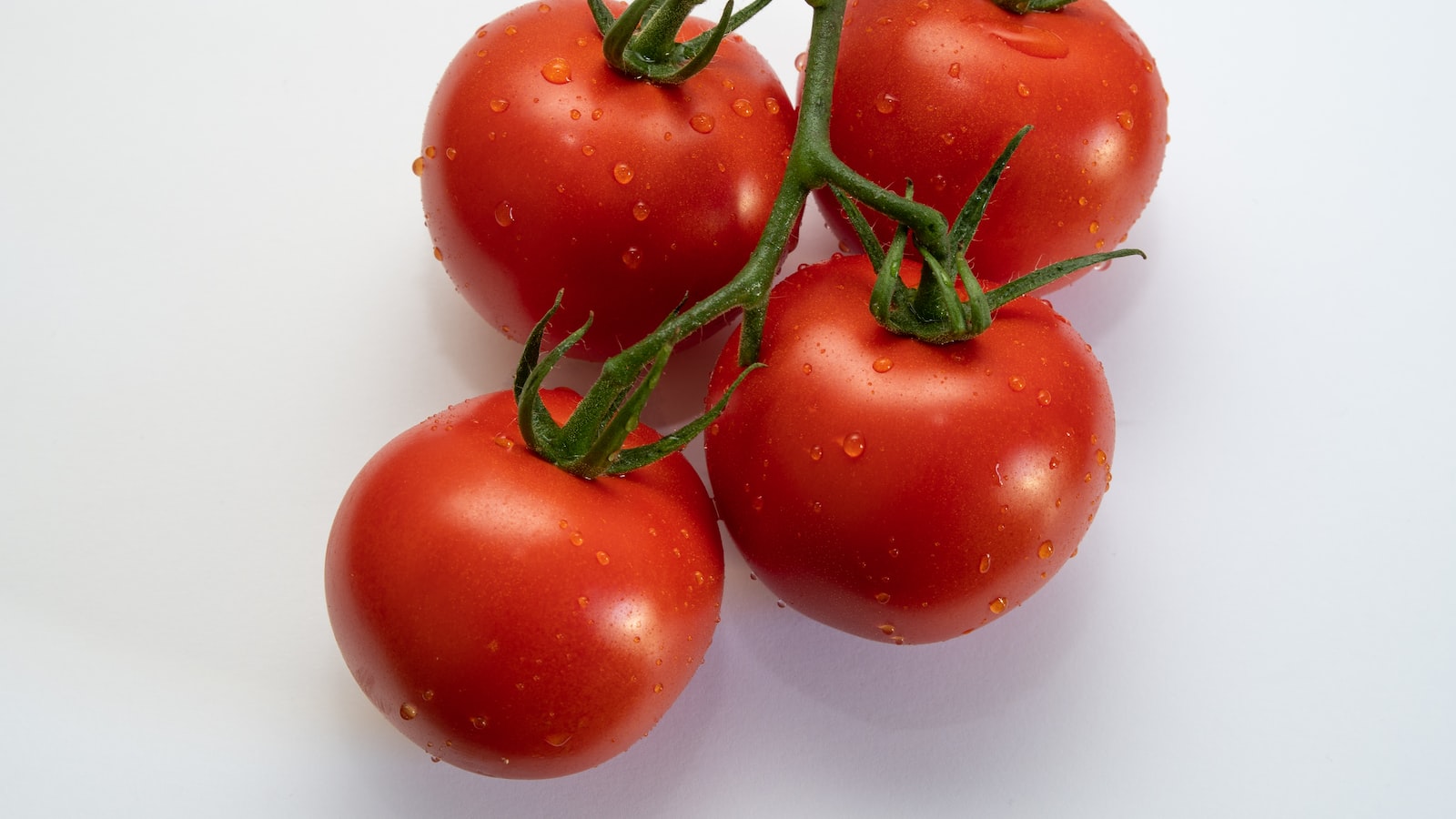 Benefits of Interplanting Tomatoes and Cantaloupe for a Thriving Garden