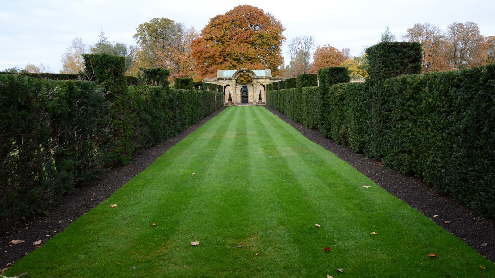 Caring for Your Lawn: Post-Treatment Tips to Keep Night Crawlers at Bay