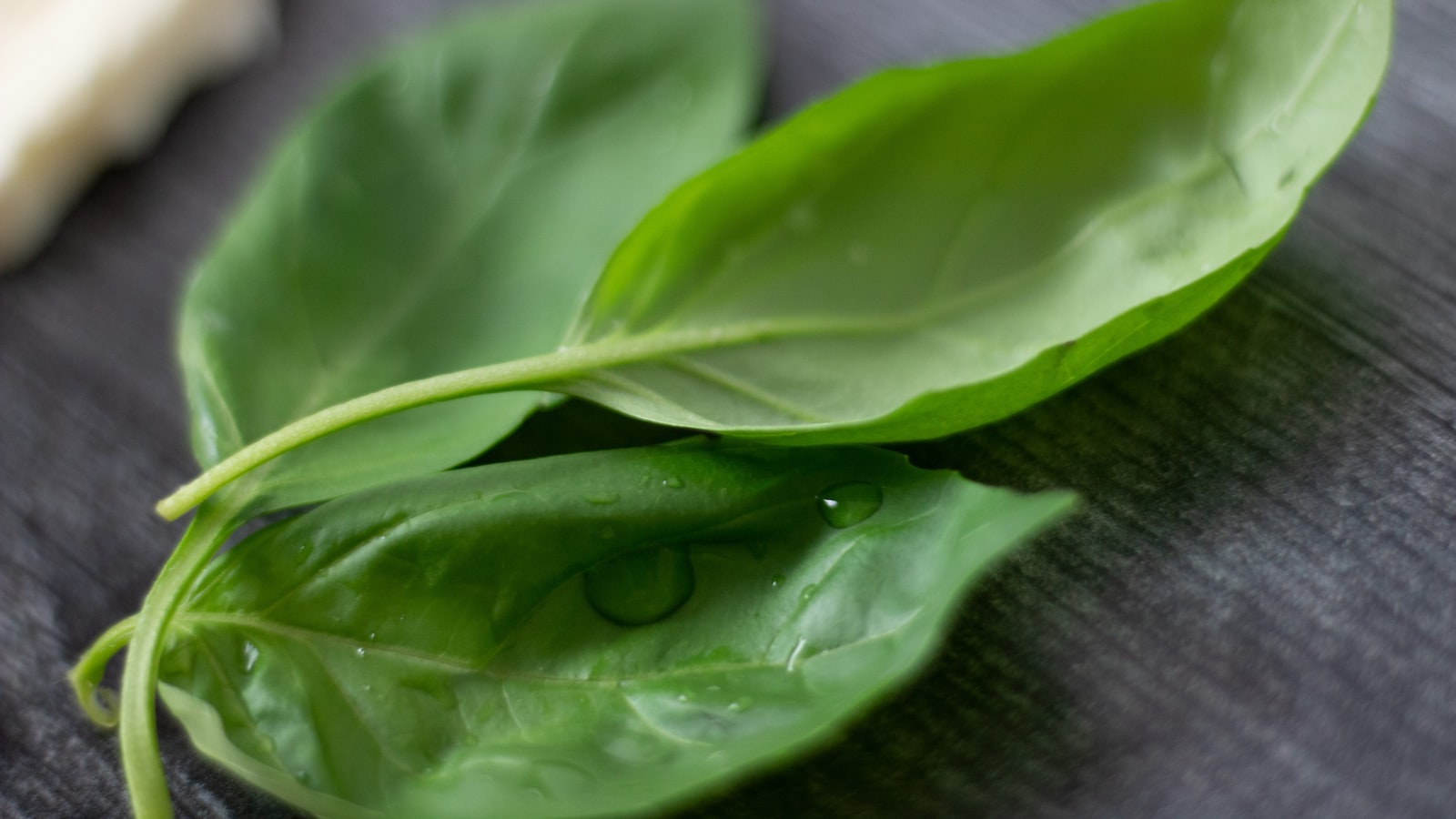 Storing Spinach Seeds: Techniques to Ensure Longevity and Optimal Germination