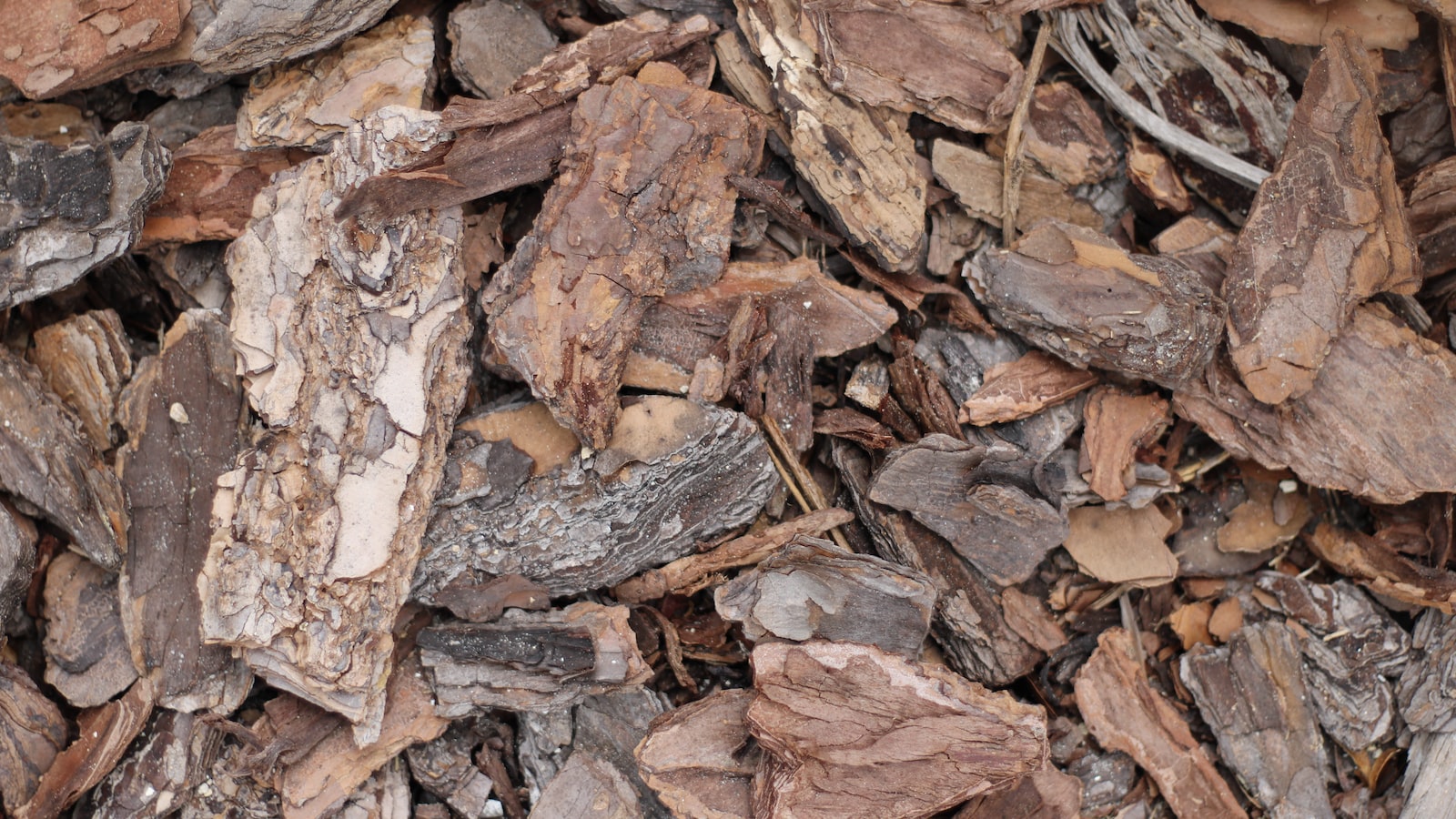 - Uncovering the Appeal: Examining the characteristics of mulch that attract birds