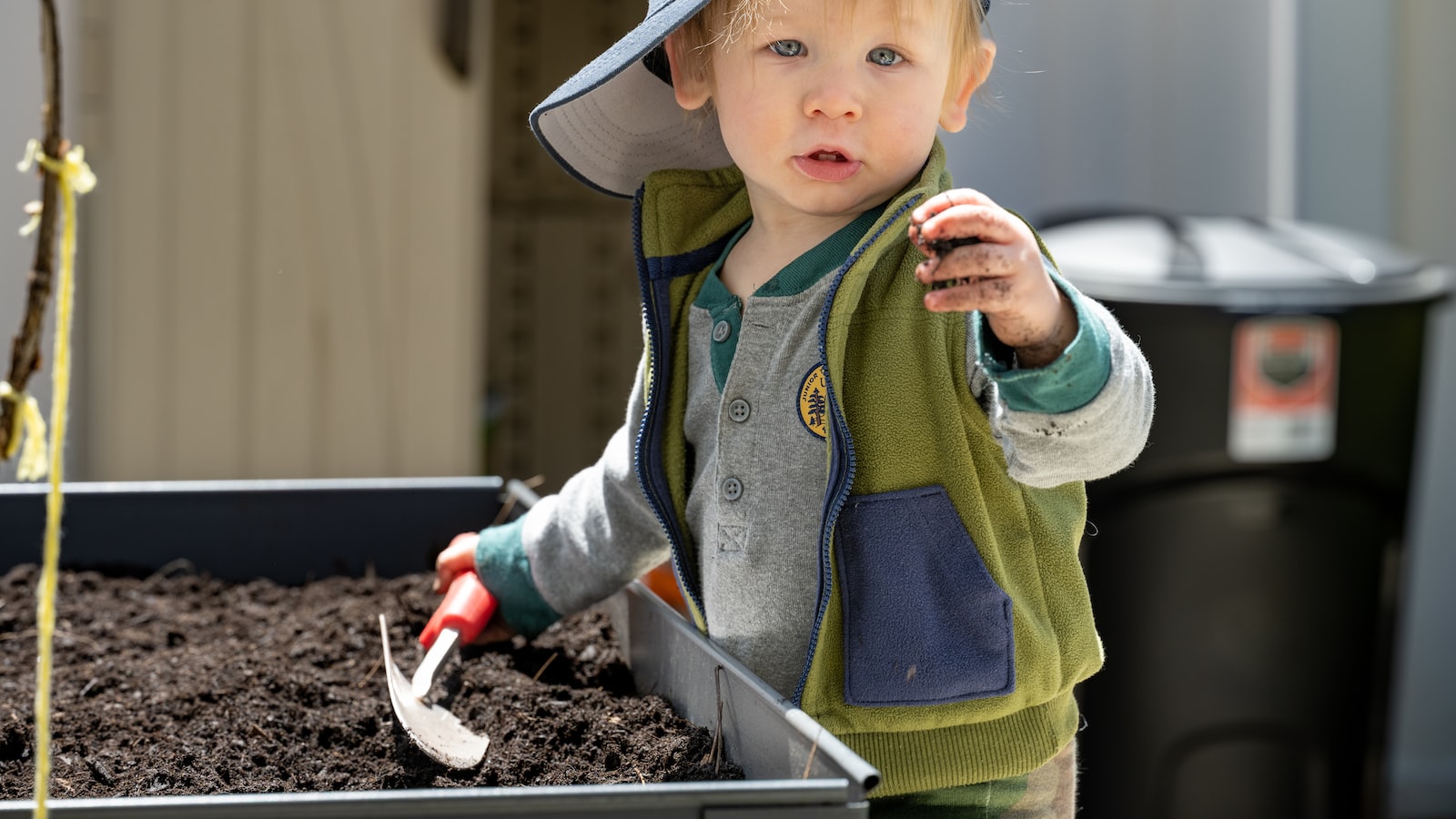 Optimal Planting Techniques: Sowing and Caring for Radishes in Various Ohio Regions