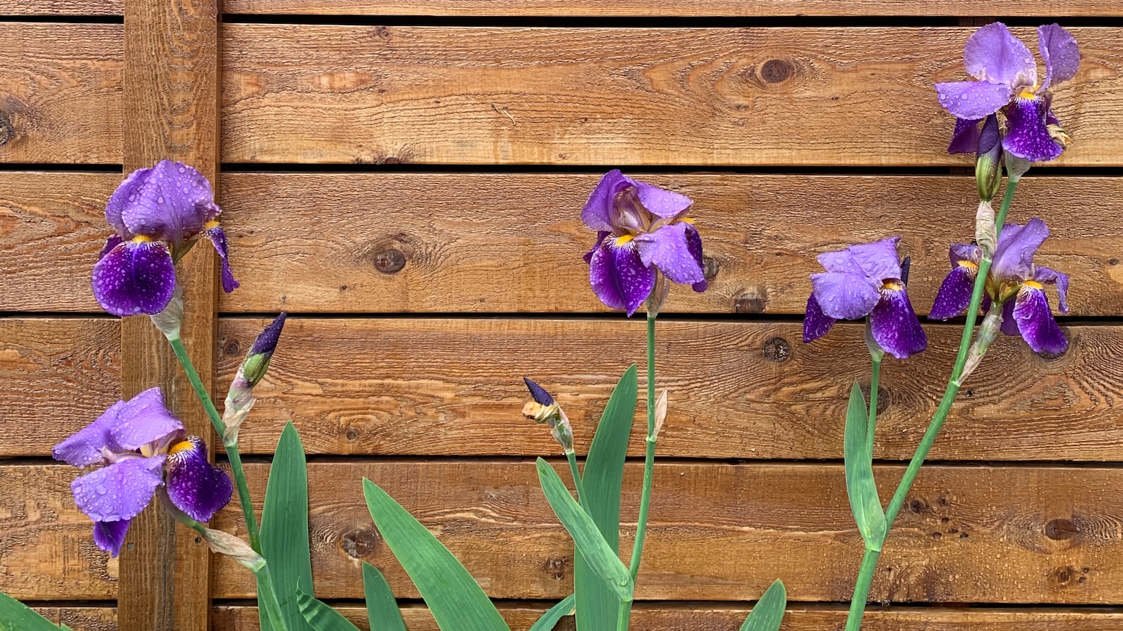 Heading 2: Strengthening the Stems: Effective Strategies to Prevent Wildflowers from Toppling Over