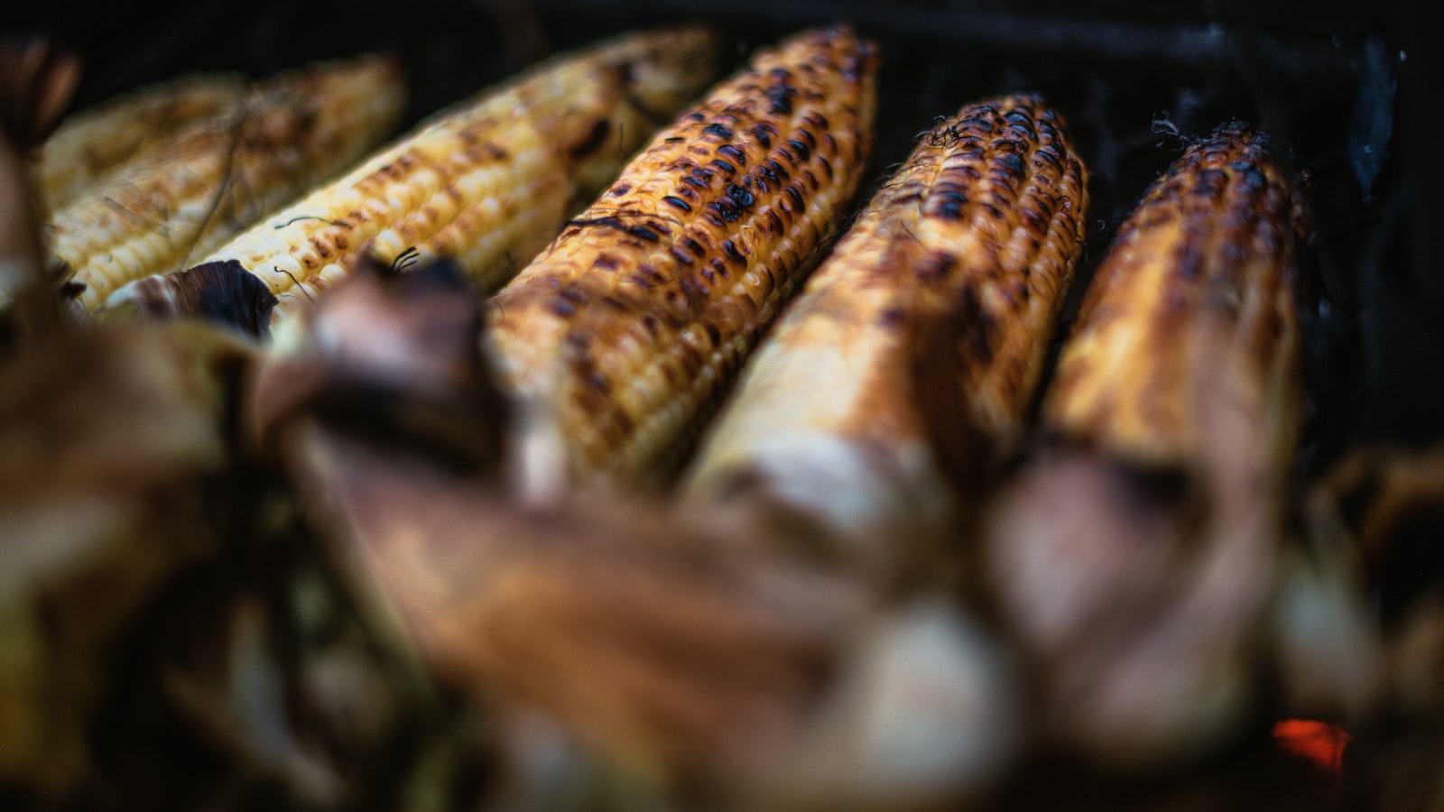 The Potential Benefits of Adding Corn Husks to Your Compost Pile