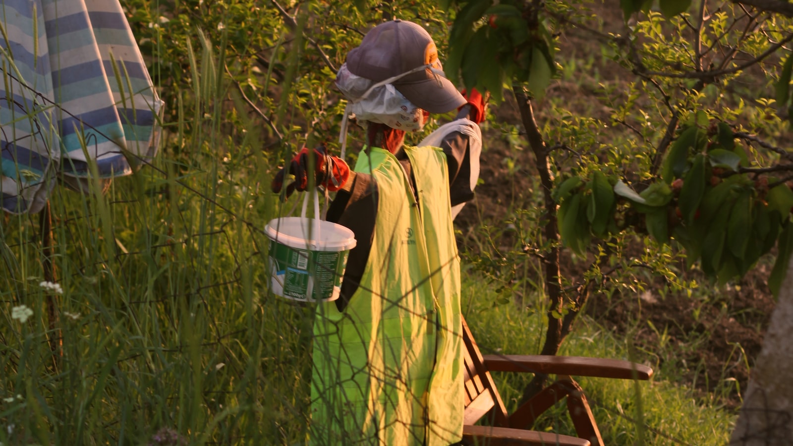 Protecting Your Persimmon Trees: Effective Strategies and Deterrents